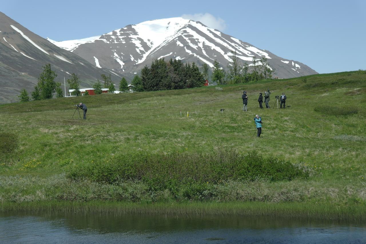 Hotel Dalvík Eksteriør bilde